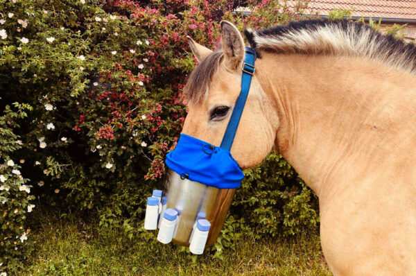 Pferd bei der Inhalation mit dem Akku Inhalationsgerät MultiSolAnimal