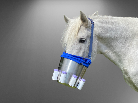 Pferd bei der Inhalaltion / Verneblung mit dem MultiSolAnimal Akkuinhalaltionsgerät
